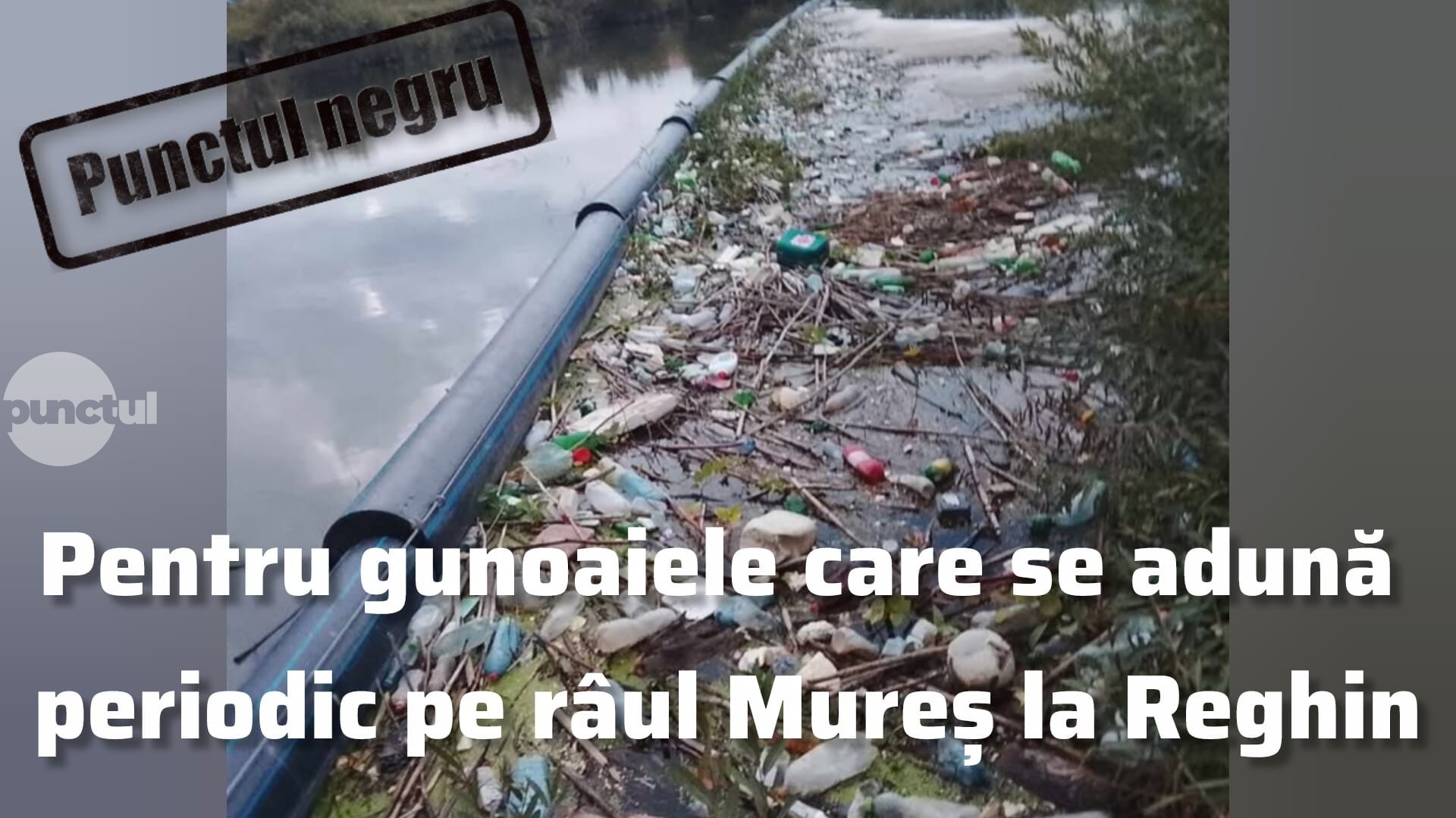 Punctul negru pentru gunoaiele care se adună periodic pe râul Mureș la Reghin