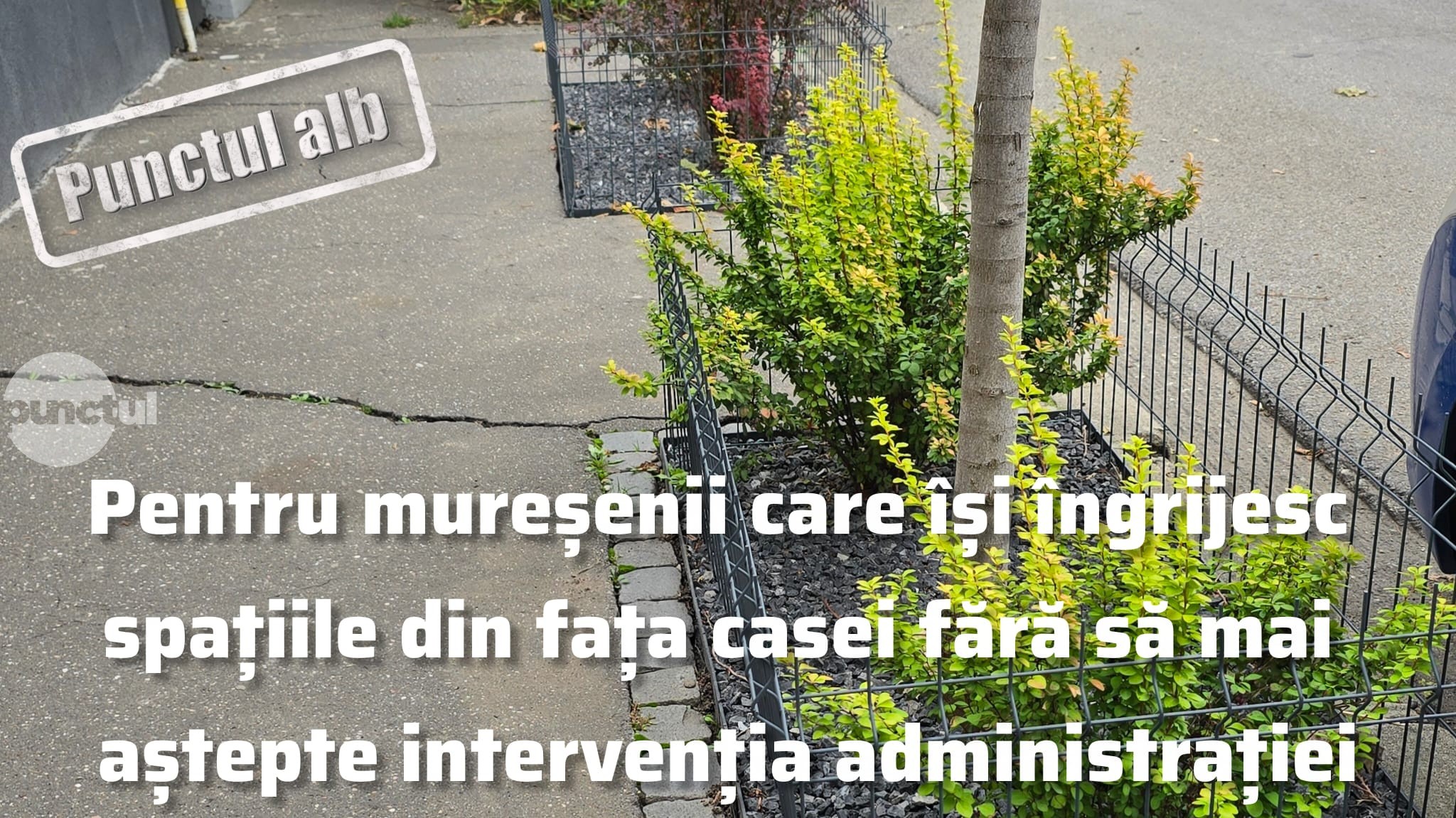 Punctul alb pentru mureșenii care își îngrijesc spațiile din fața casei fără să mai aștepte intervenția administrației