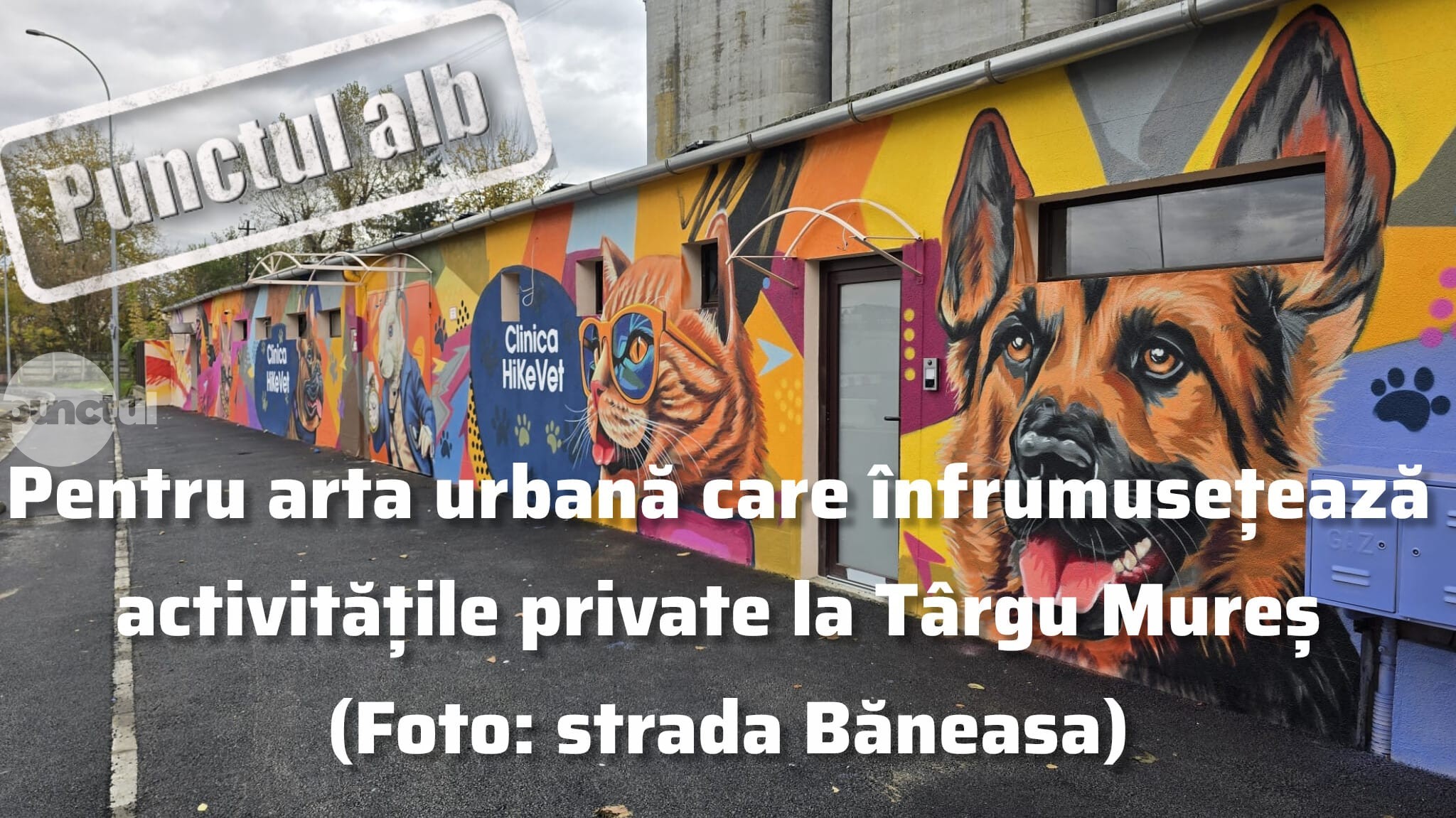 Punctul alb pentru arta urbană care înfrumusețează activitățile private la Târgu Mureș (Foto: strada Băneasa)