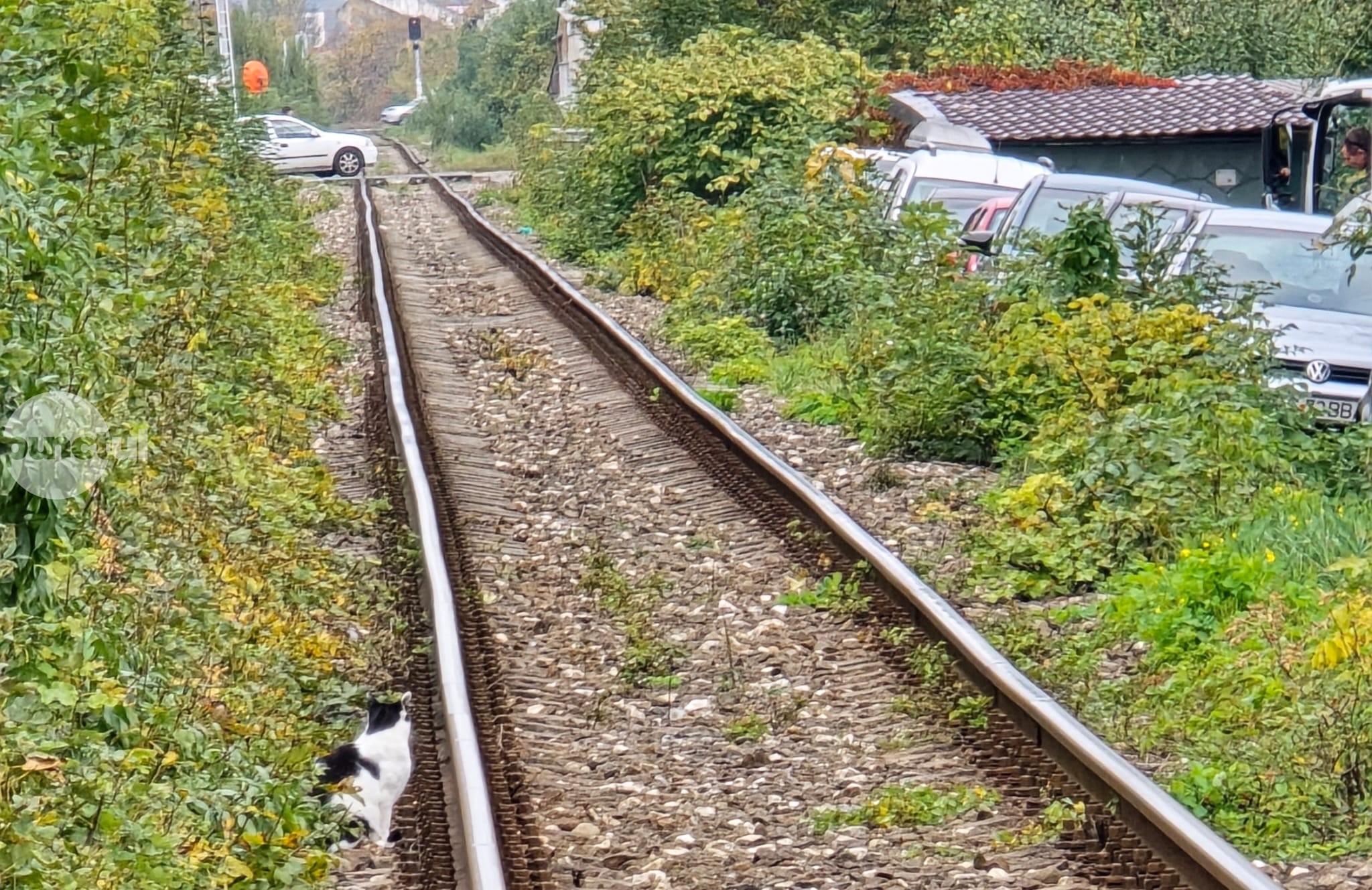 Haos feroviar: trenuri suspendate din Târgu Mureș din cauza datoriilor CFR Călători