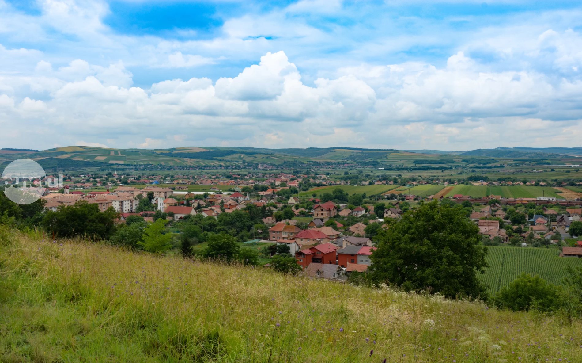 Trei decenii de litigii funciare culminează cu un proces între primăriile Cristești și Gheorghe Doja