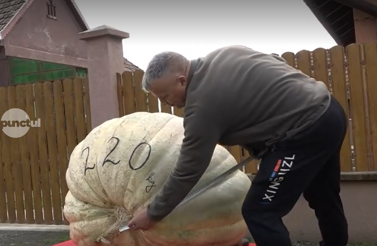 Un dovleac uriaș de 220 de kilograme expus la Festivalul Dovleacului din Sovata