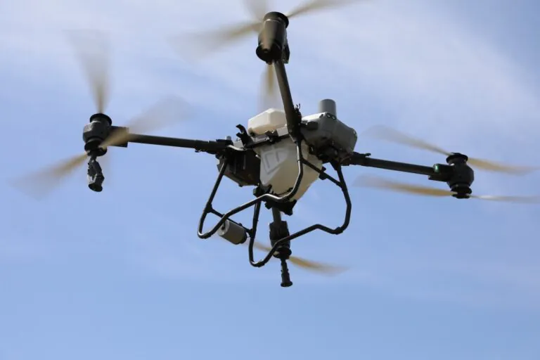 Exemplul japonez de îndepărtare a urșilor: Drone și tehnologie acustică