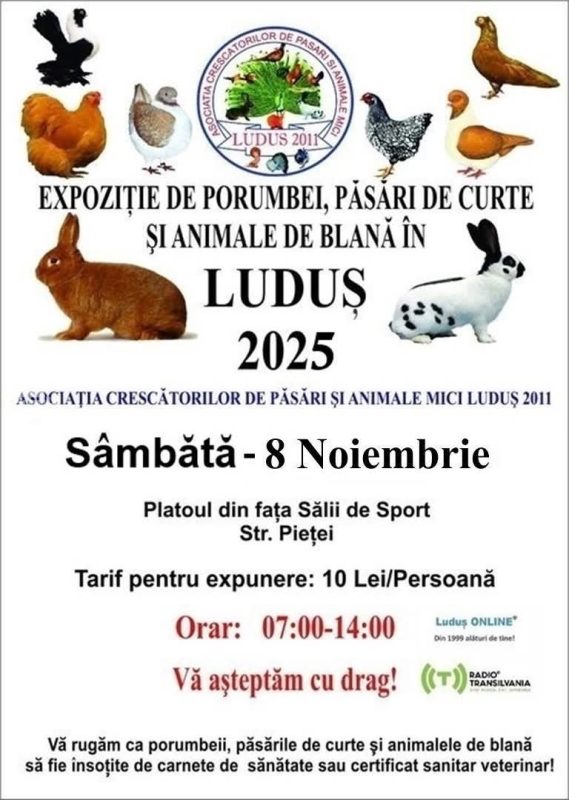 Expoziție de porumbei, păsări de curte și animale de blană la Luduș