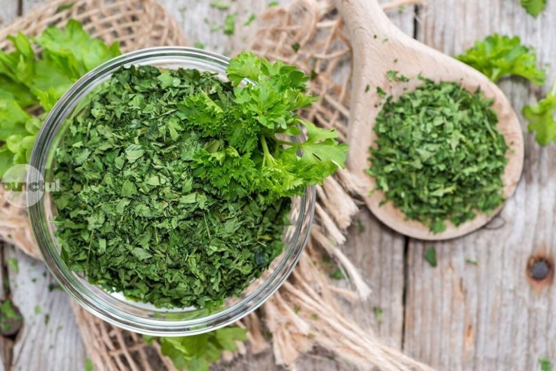 Infuzia din frunze de pătrunjel uscat, un leac simplu, dar cu o forță terapeutică surprinzătoare