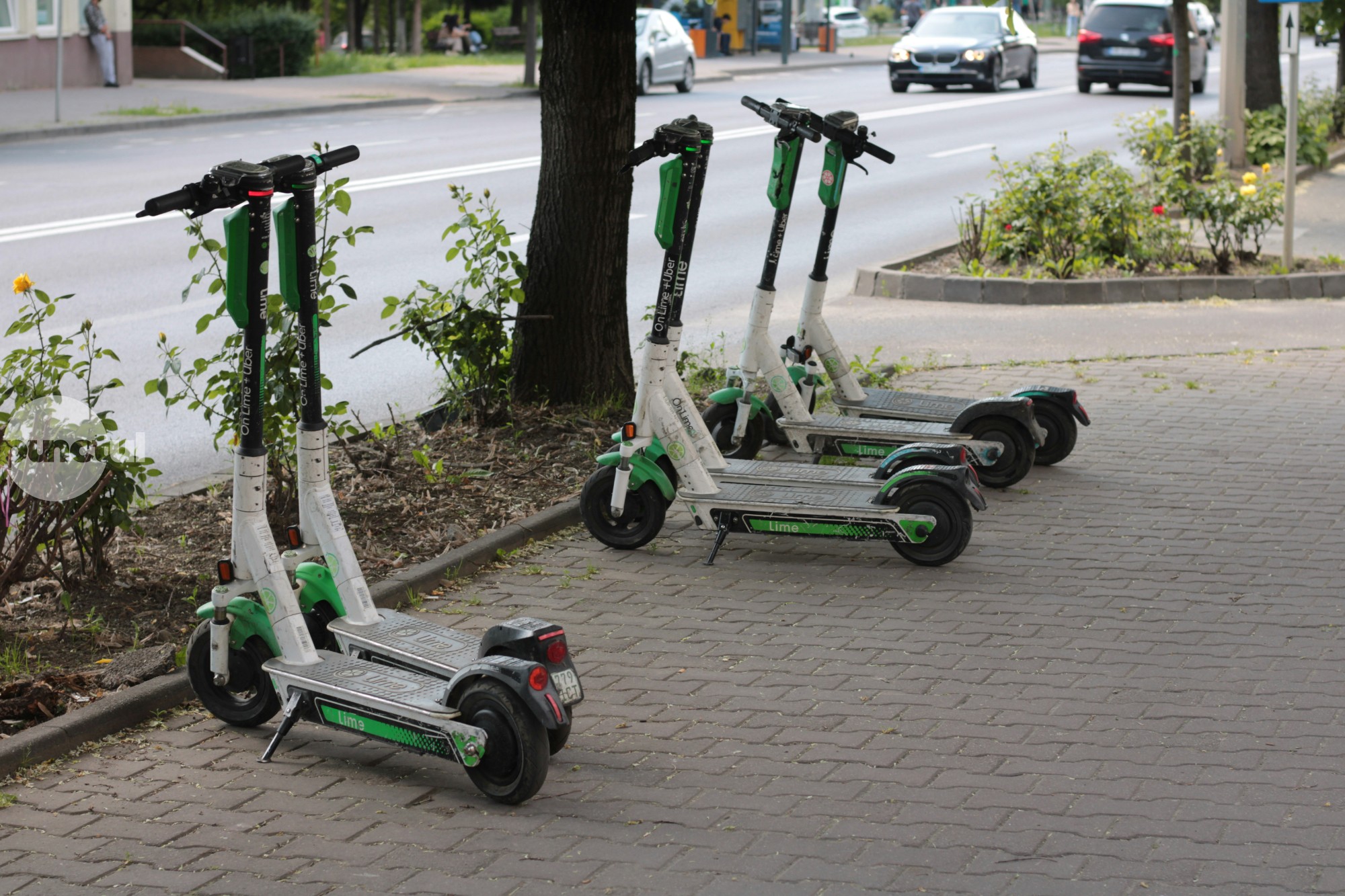 Lege nouă pentru RCA: trotinete electrice asigurate, controale automate și amenzi mai mari