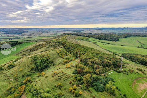 Proiect de amenajare a unui parc de 18,6 hectare în lucru la Reghin, în zona Pădurii Rotunde