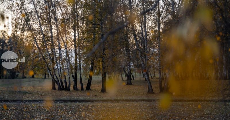 Descoperiți magia Mestecănișului de la Reci – supranumit „Sahara județului Covasna”!