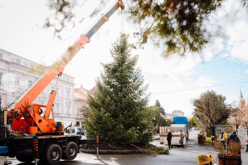 Ilona Popa este donatoarea bradului amplasat pentru Crăciun în centrul orașului