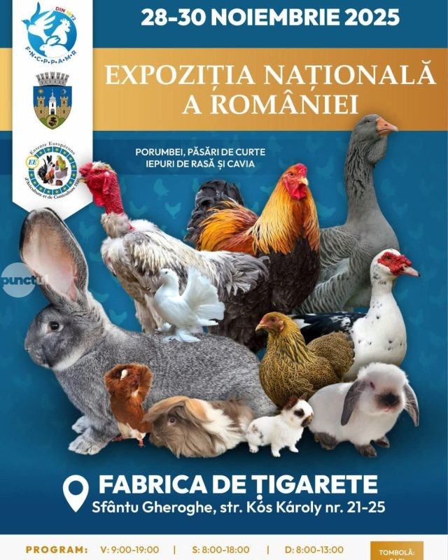 Expoziția Națională de Porumbei de Agrement, Păsări de curte și Colivie, Iepuri și Cavia la Sfântu Gheorghe
