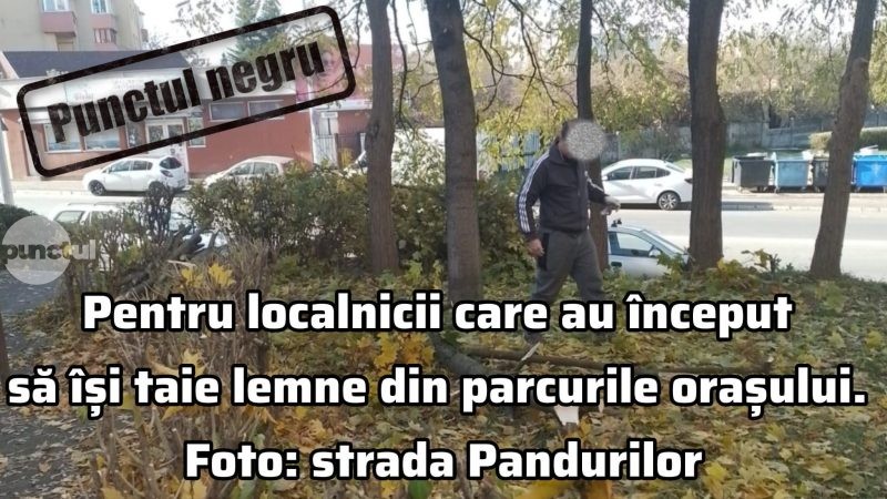 Punctul negru pentru localnicii care au început să își taie lemne din parcurile orașului