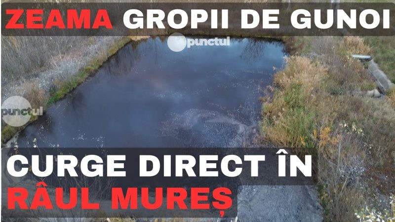 Zeama gropii de gunoi curge direct în râul Mureș (video)