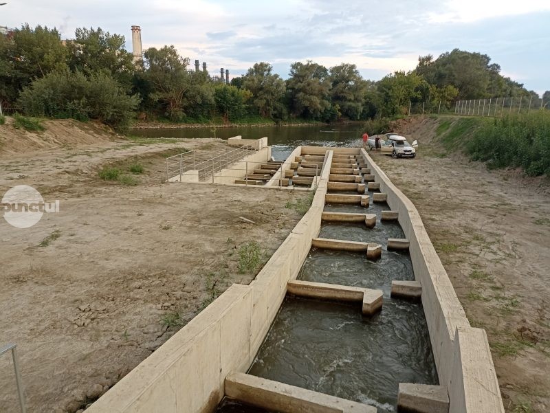 Monitorizare cu cipuri electronice: pasaj funcțional pentru pești pe Mureș, la termocentrala Iernut