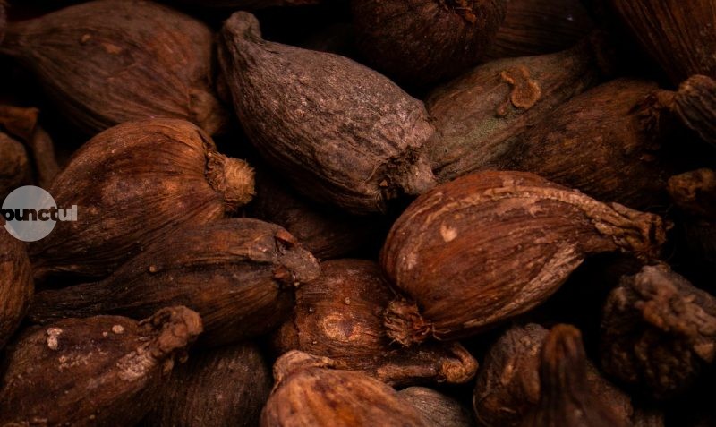 Compuși din cacao devin aliatul sănătății vasculare în timpul perioadelor sedentare lungi