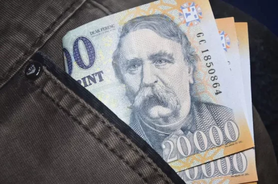 Ungaria pregătește terenul pentru adoptarea euro. Forintul ar putea fi înlocuit după 2030