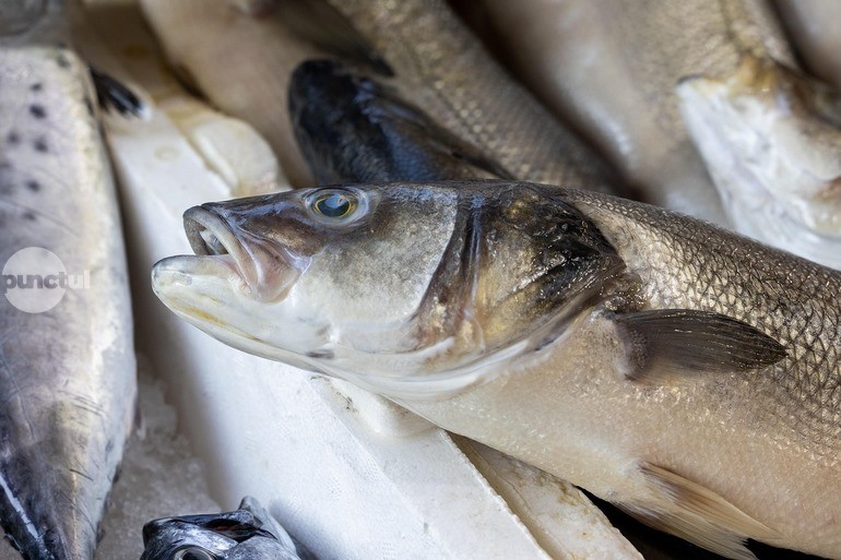 Revelion cu pește în Ungaria. Cât costă și de ce nu lipsește la vecini de pe masă