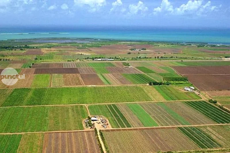 Lovitură pentru agricultori: crește cu 140% baza de impozitare a terenurilor