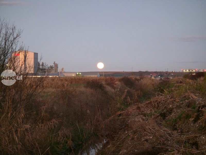 Superluna Castorului pe cerul Târgu Mureșului. Se poate admira fenomenul astronomic al anului