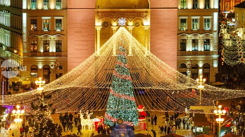 Bradul-carusel, noutatea Târgului de Crăciun de la Timișoara