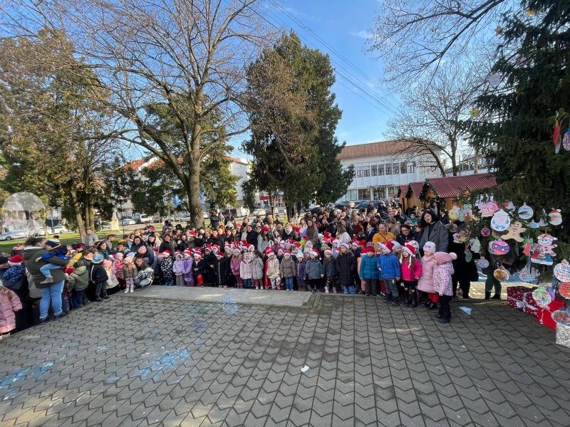 Bradul Recunoștiinței la Luduș