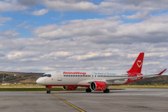 AnimaWings retrage zborurile directe Cluj–Viena și Cluj–Frankfurt după doar două luni și jumătate
