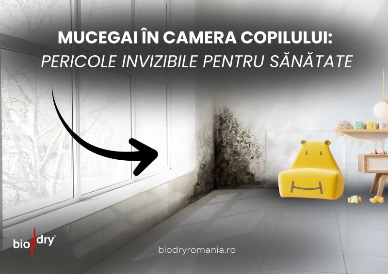 Mucegai în camera copilului: pericole invizibile pentru sănătate