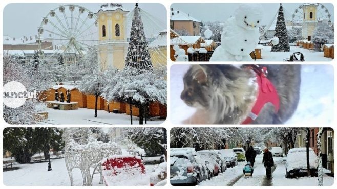 Zăpada nu este un cod de panică, ci o invitație la bucurie, un dar care ne invită să trăim prezentul!