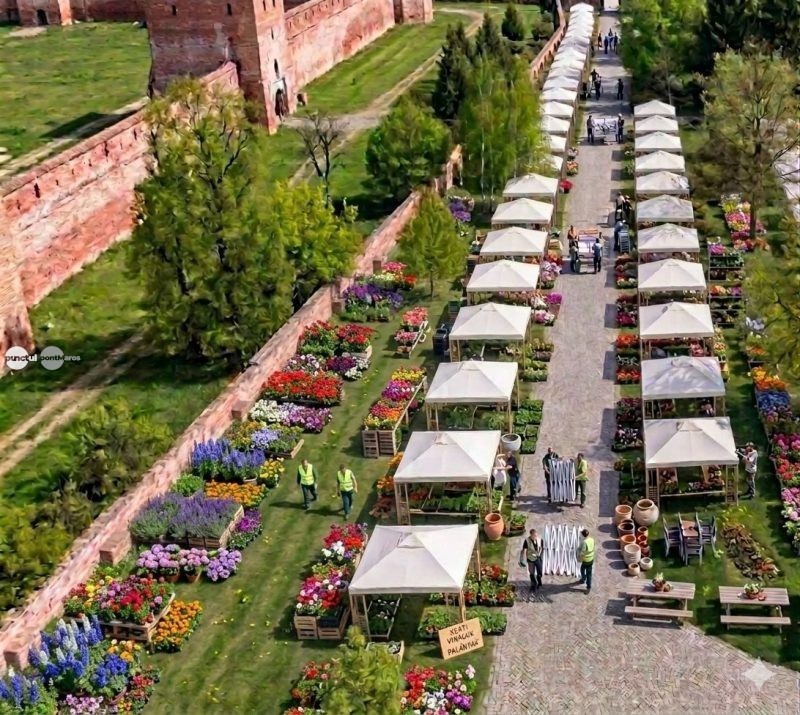 Magia Primăverii debutează la Târgu Mureș: prima ediție a evenimentului își deschide porțile pe 22 mai