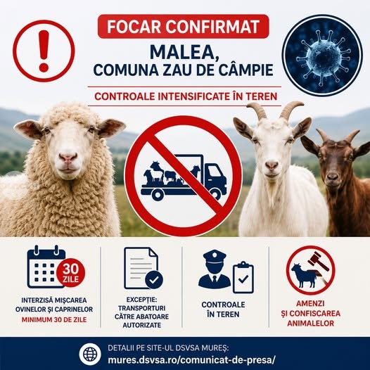 Informare privind evoluția focarelor de variolă ovină și caprină în județul Mureș