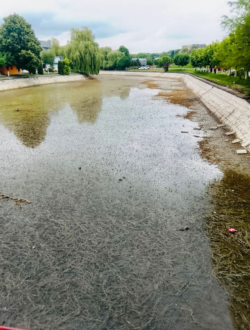 Canalul de canotaj de la Complexul Weekend intră în proces de igienizare și întreținere
