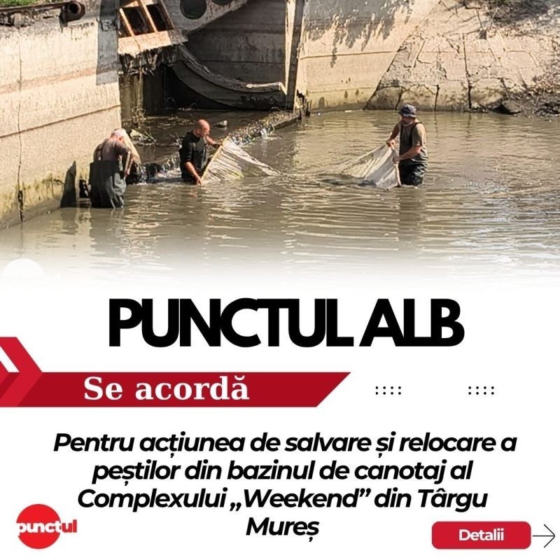 Punctul alb