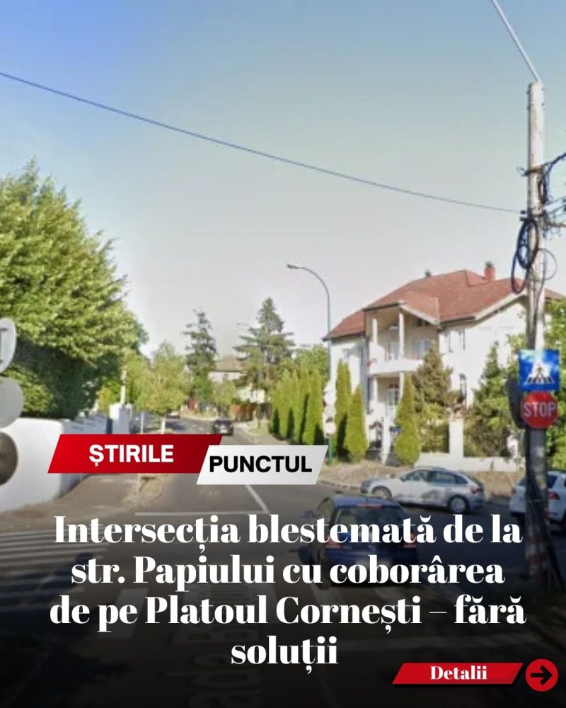 Fără soluții