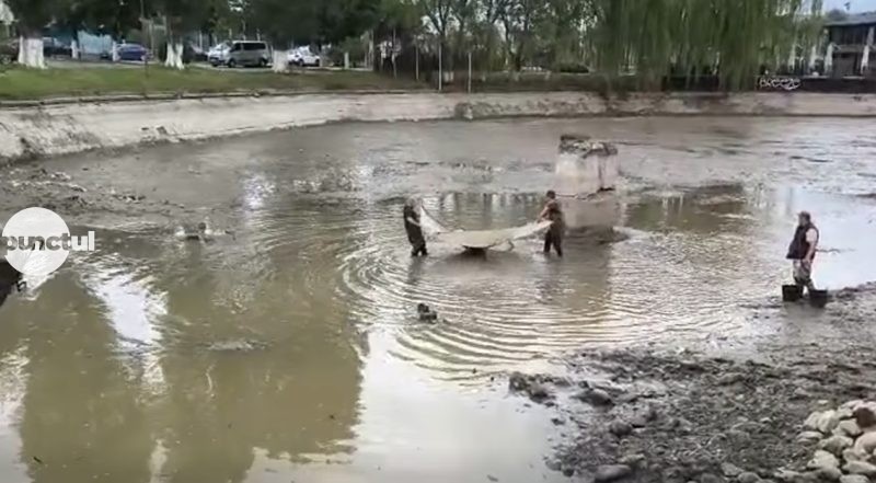 Acțiune de salvare și relocare a peștilor din bazinul de canotaj al Complexului „Weekend” din Târgu Mureș