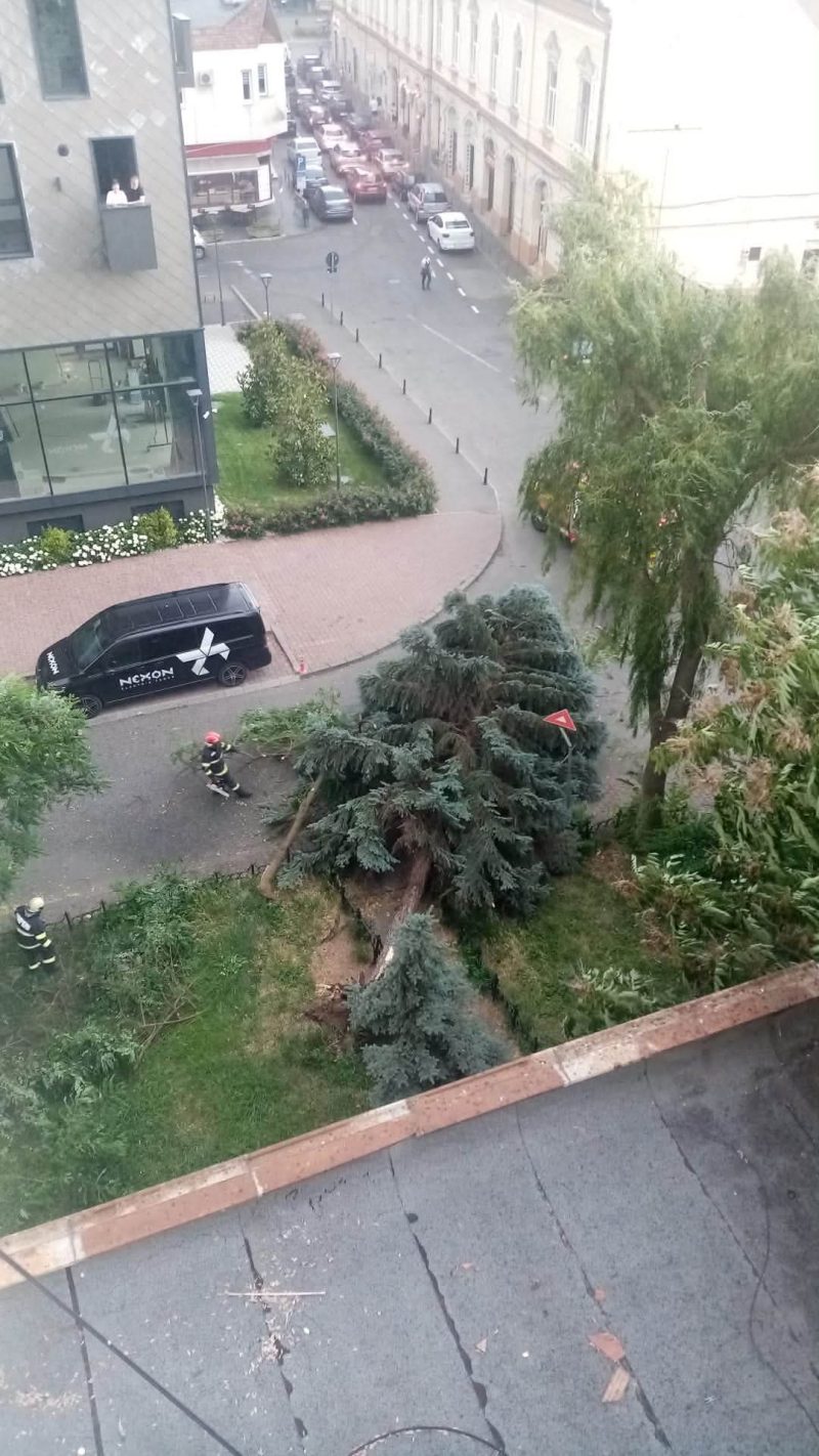 Intervenții ale pompierilor militari mureșeni în urma manifestării fenomenelor meteorologice până la ora 16:00