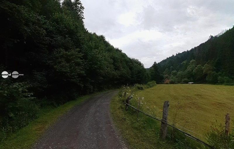Drumul forestier Salard – Hidegag, în pericol să fie blocat de poduri degradate