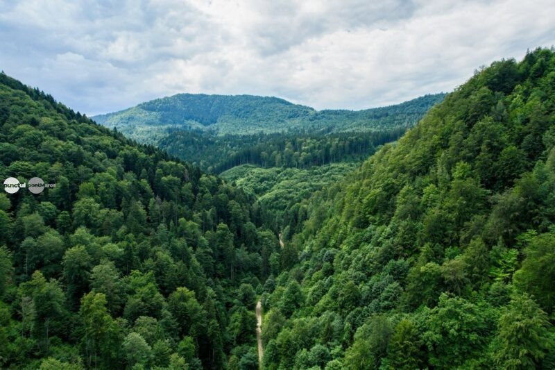 Județul Covasna își promovează peisajele montane și traseele prin natură