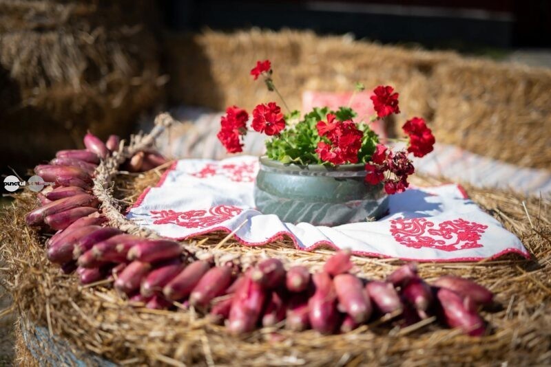 Festivalul Cepei, patru zile de sărbătoare la Siculeni. Republic, gastronomie locală și tradiționala „Rută a Cepei”