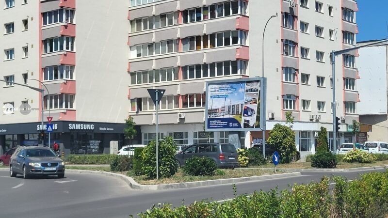 Tufă plantată recent pe Gheorghe Doja, problemă de vizibilitate pentru șoferi