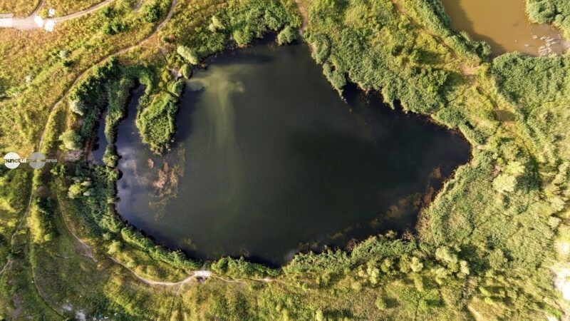Cărămidăria părăsită a devenit paradis natural, subiect de tur ghidat
