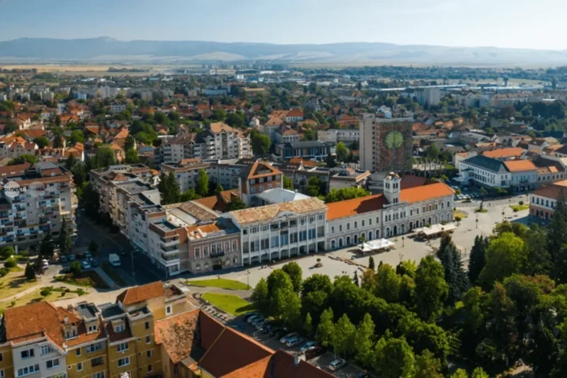 Top 50 companii din Covasna. Cum s-a schimbat vârful clasamentului în perioada 2008-2025
