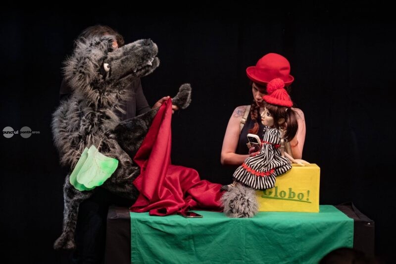 Spectacolul Zoo revine la Teatrul Ariel!