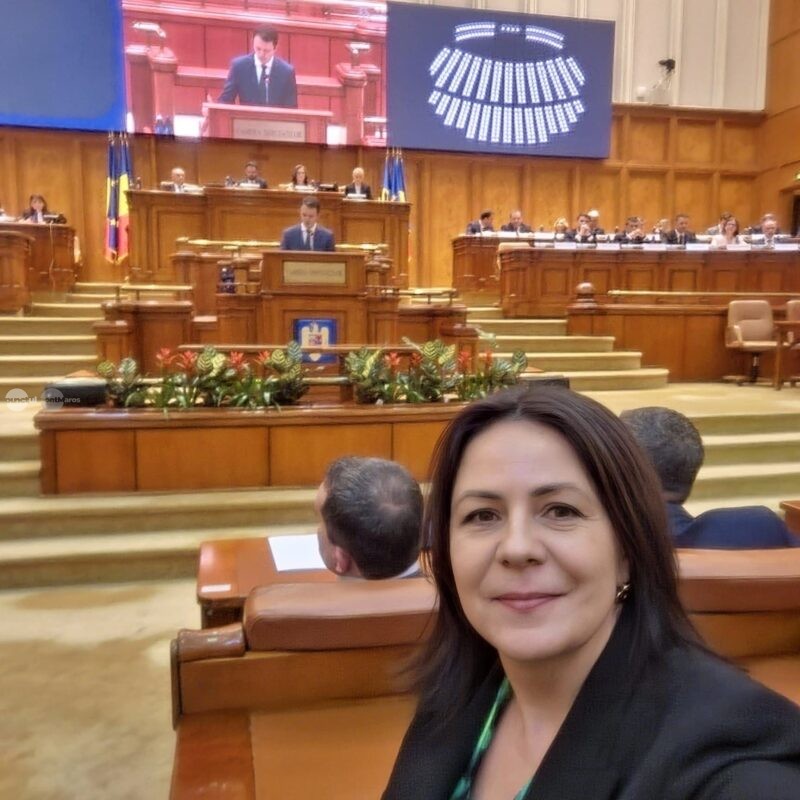 Dumitrița Gliga: Final de aventură pentru ”Guvernul Mureșan”