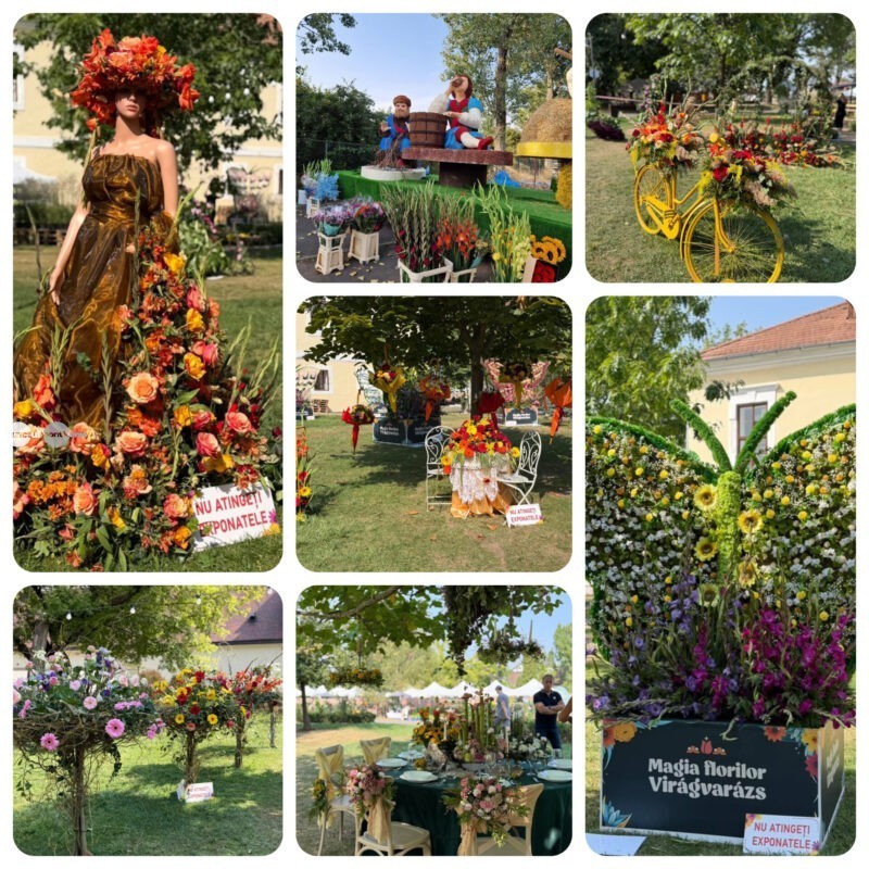 Pregătirile pentru carele florale sunt în toi la Festivalul Magia Florilor din Târgu Mureș (foto)