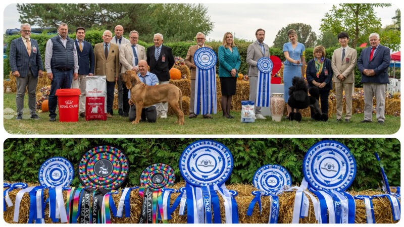 Dracula Dog Show a adus la Târgu Mureș sute de câini din peste 30 de țări