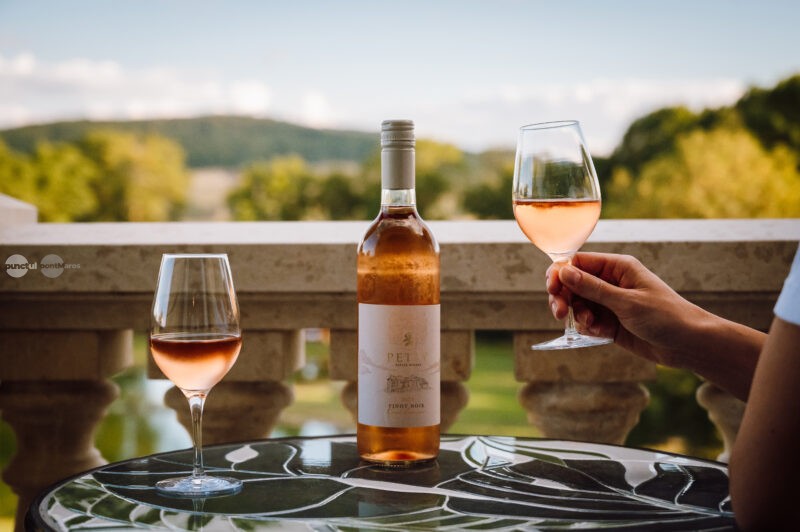 Degustare de vinuri într-un conac din secolul al XVIII-lea, în Călimănești