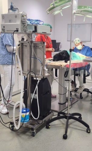 ”Mii de operații chirurgicale pe animale de companie” este bagajul profesional al unui medic veterinar reîntors la Târgu Mureș din Germania și Budapesta