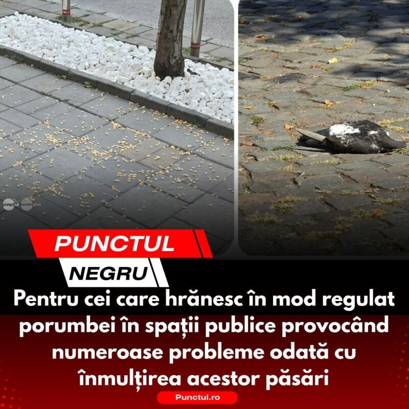 Punctul negru