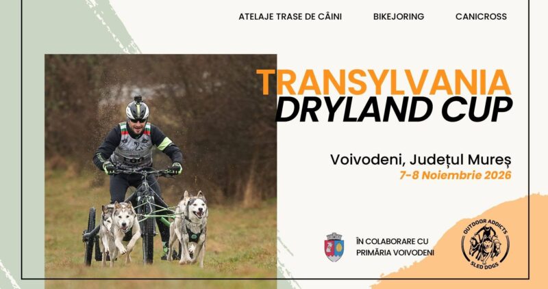 Voivodeni găzduiește Transylvania Dryland Cup, o competiție spectaculoasă de atelaje trase de câini