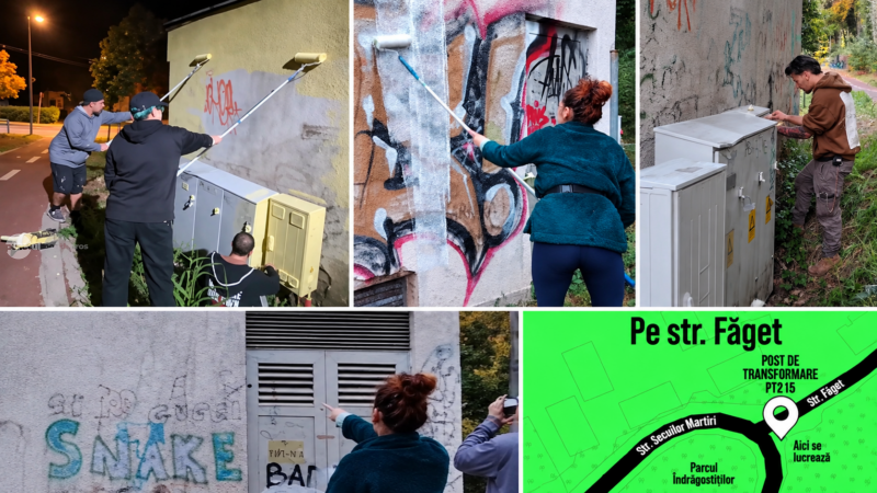 Arta lui Brâncuși prinde viață pe zidurile din Târgu Mureș. Proiectul Metamorfoze 7 avansează mai repede decât era planificat