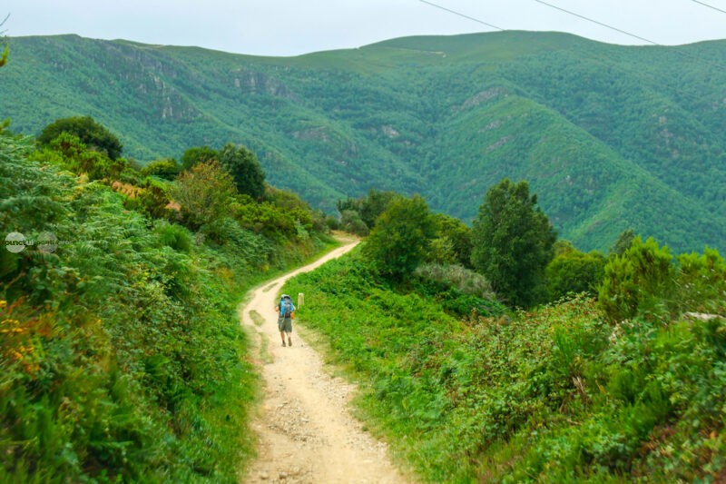 Nu doar Via Transilvanica. Modelul spaniol Camino de Santiago ar putea fi o oportunitate pentru turismul din Mureș
